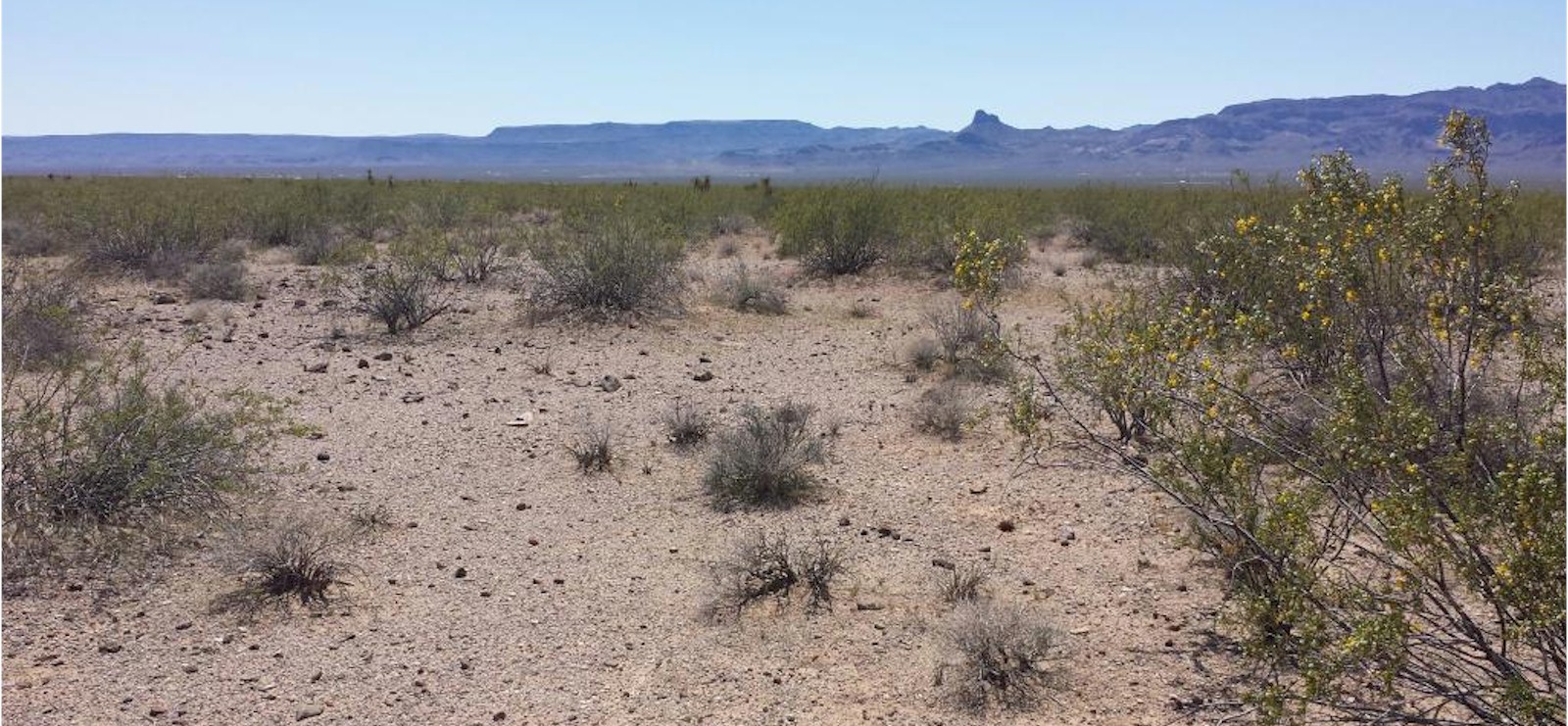 R & H Grading and Clearing Golden Valley Arizona